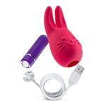 Aria Rechargeable Mini Vibe Attachment Kit