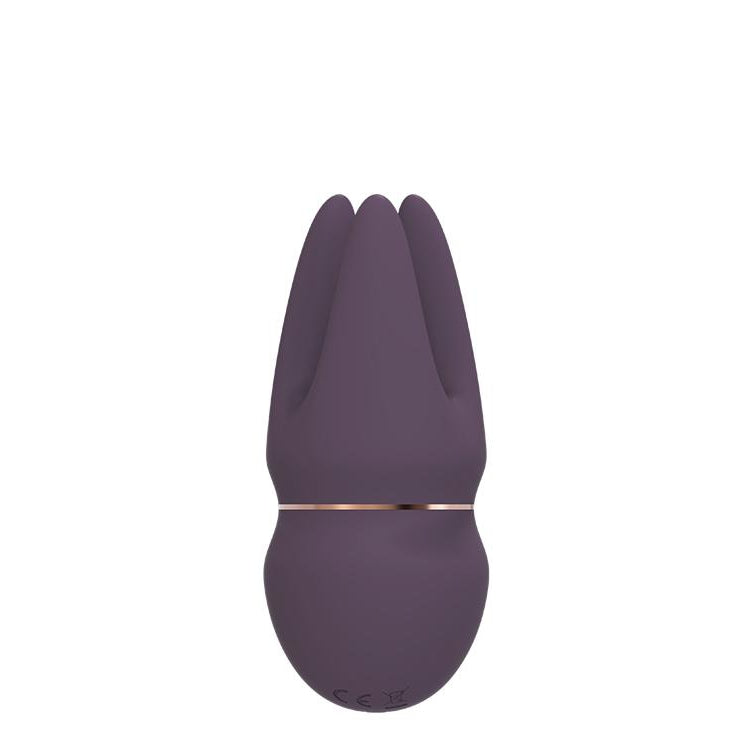 Luxury 3 Point Rechargeable Clitoral Vibrator by Royal Fantasies on Ricky.com