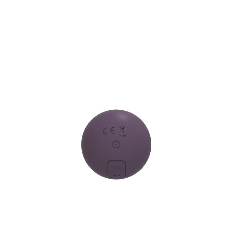 Luxury 3 Point Rechargeable Clitoral Vibrator by Royal Fantasies on Ricky.com