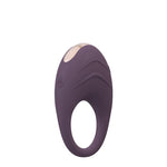 Luxury Rechargeable Vibrating Cock Ring by Royal Fantasies on Ricky.com