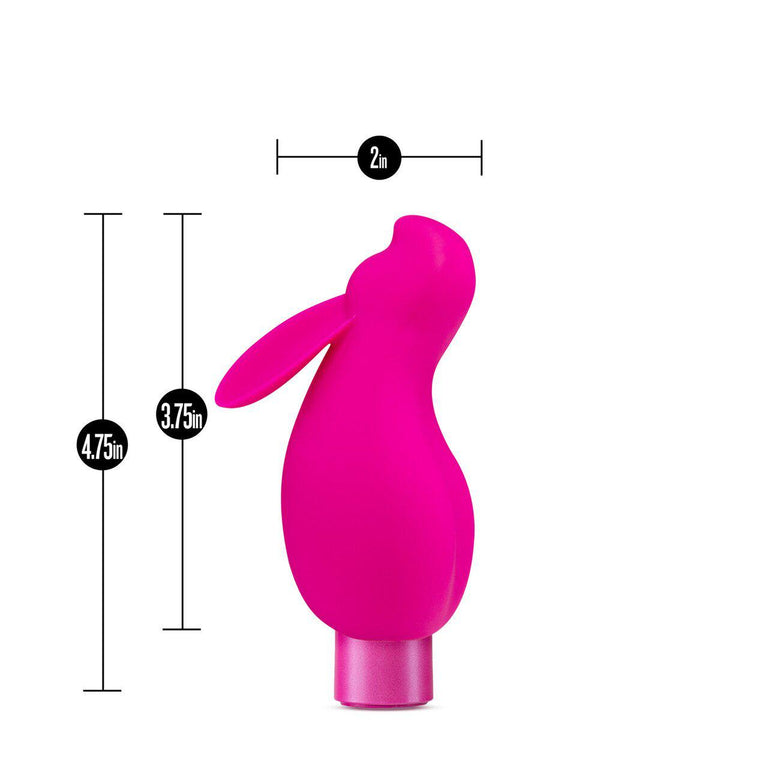 The Nöje Bullet Vibrator Kit (5 Editions)